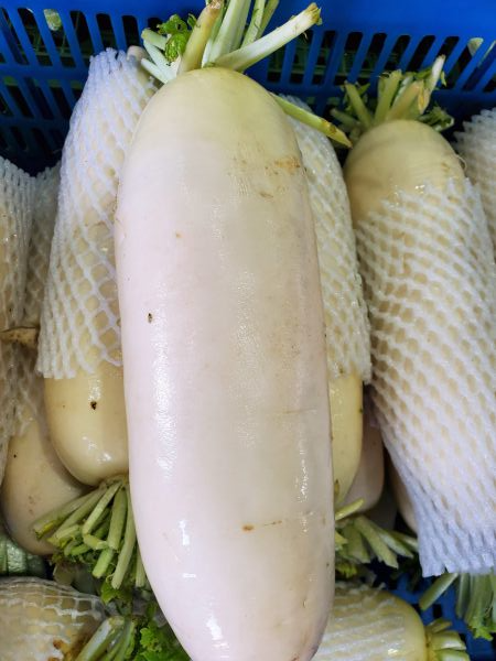 白蘿蔔